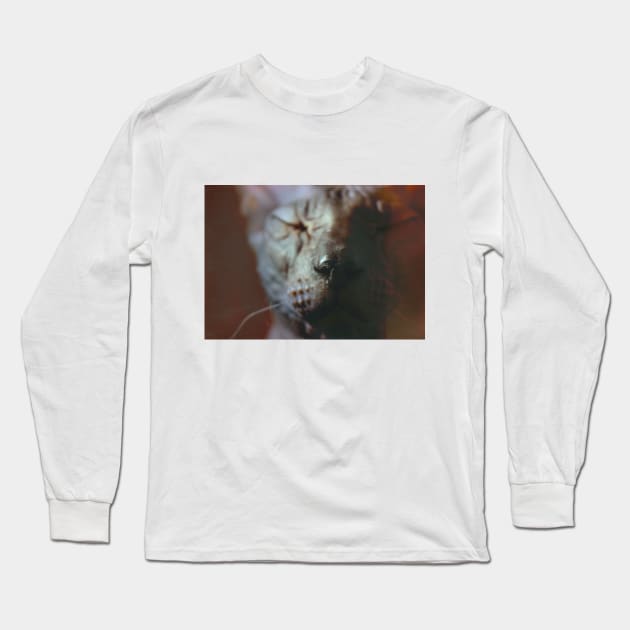 Sphinx Long Sleeve T-Shirt by MitVandr